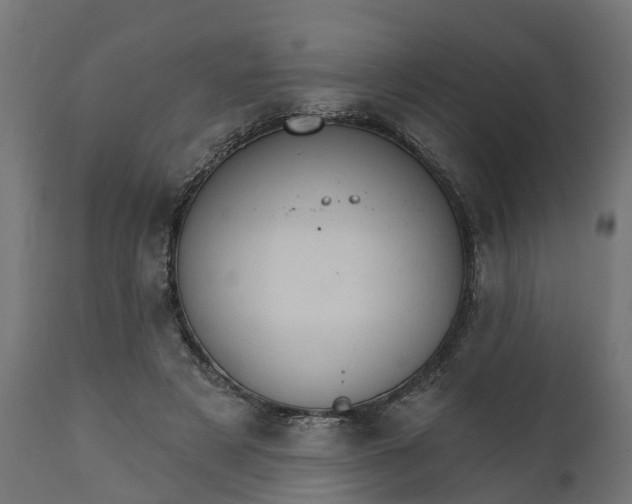 X0000111520497200907281342