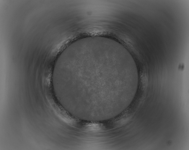 X0000111520499200907281342
