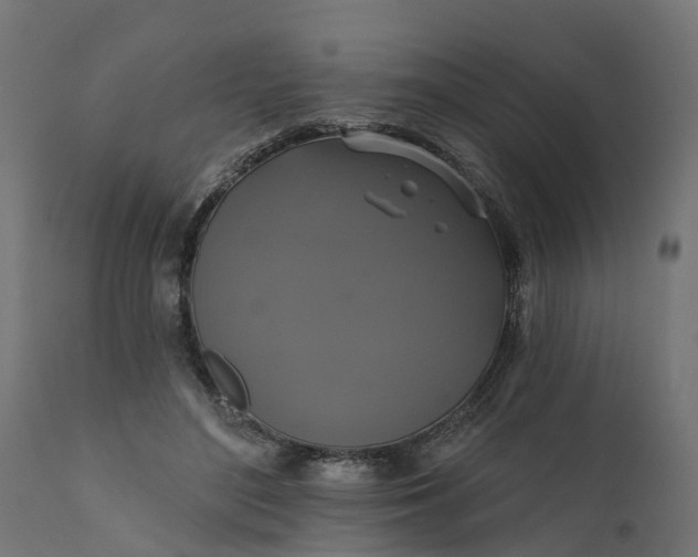 X0000111520500200907281342