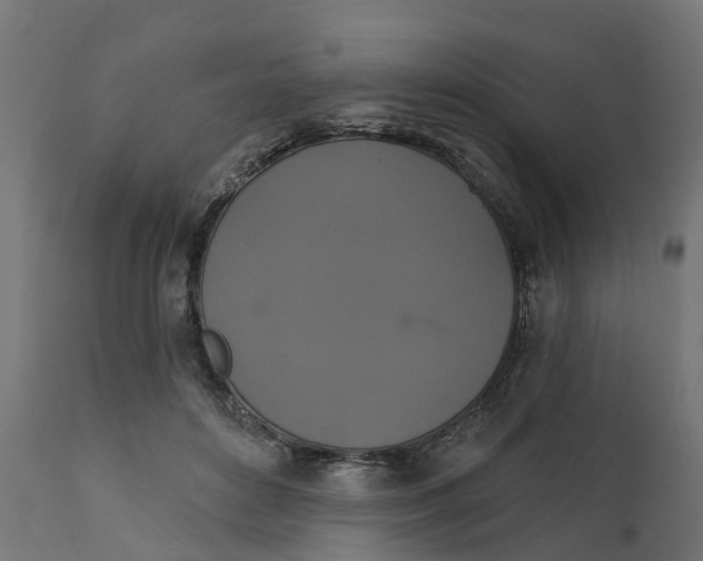X0000111520504200907281342