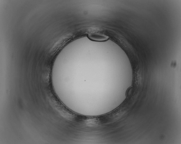 X0000111520505200907281342