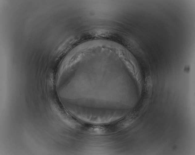X0000111520506200907281342