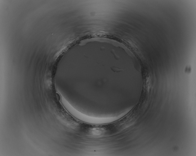 X0000111520508200907281342