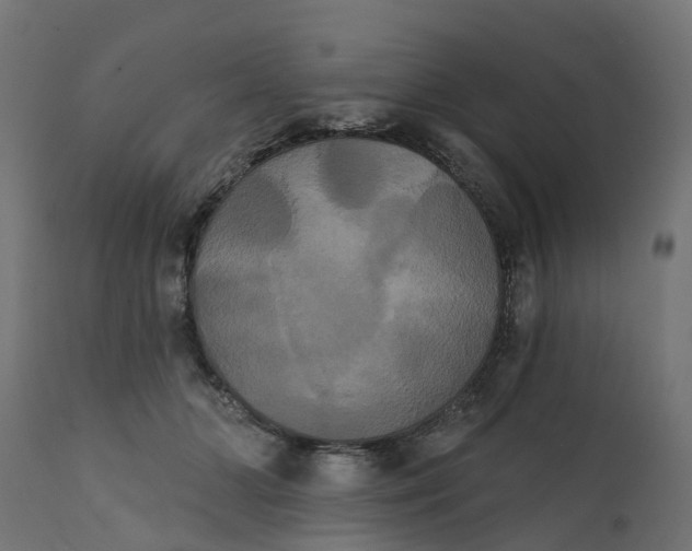 X0000111520510200907281342