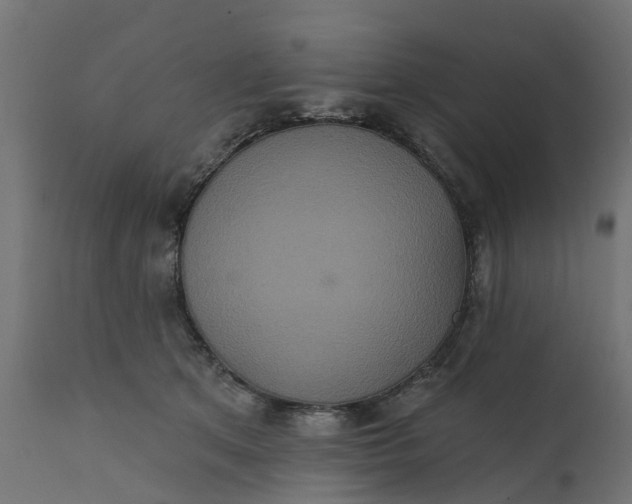 X0000111520513200907281342