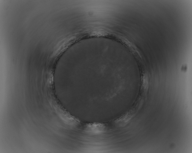 X0000111520517200907281341