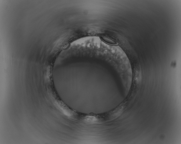 X0000111520519200907281341