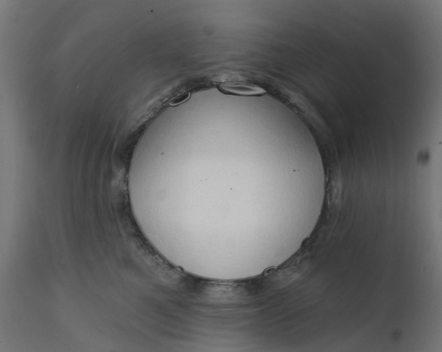 X0000111520521200907281341