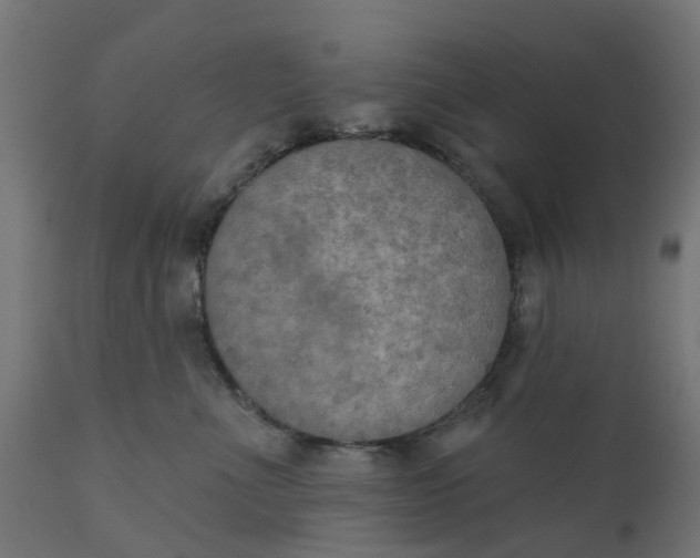 X0000111520523200907281341