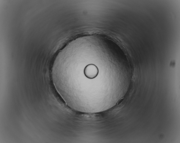 X0000111520524200907281341