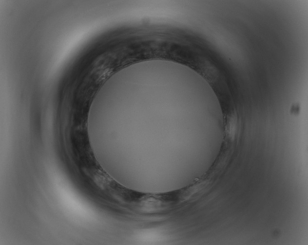 X0000111520526200907281341