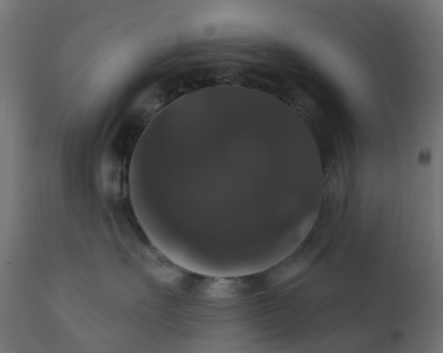 X0000111520527200907281341