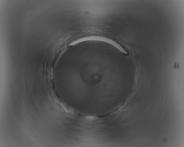 X0000111520528200907281341