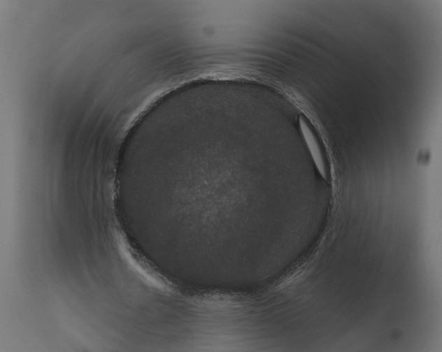 X0000111520530200907281341