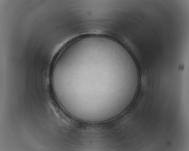 X0000111520532200907281341