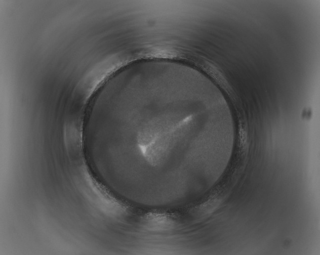 X0000111520534200907281341