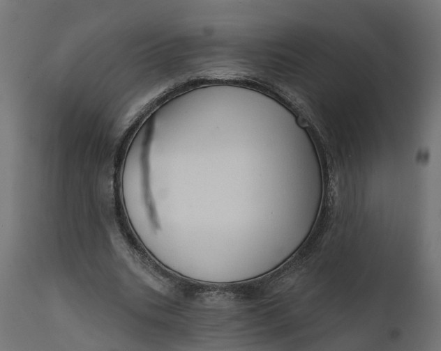 X0000111520535200907281341