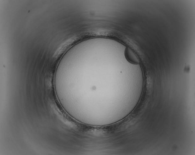 X0000111520537200907281341