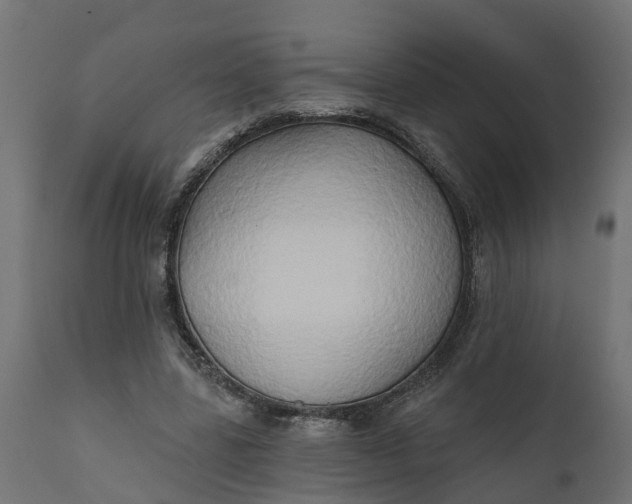 X0000111520539200907281341