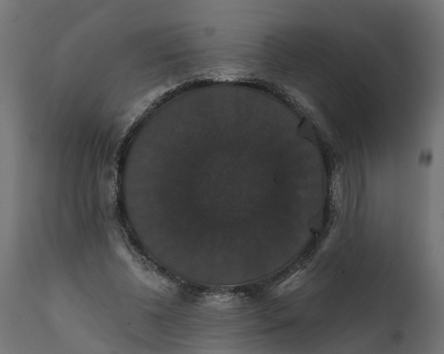 X0000111520540200907281341