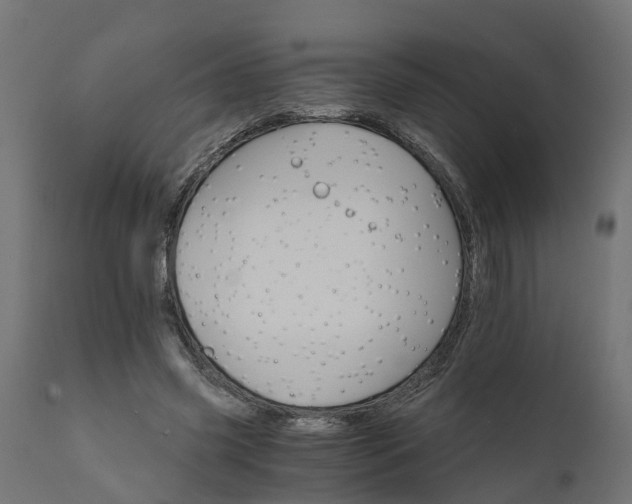 X0000111520541200907281341
