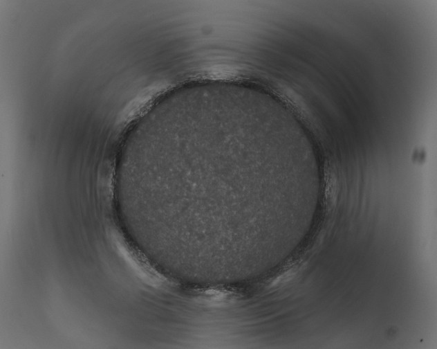 X0000111520542200907281341