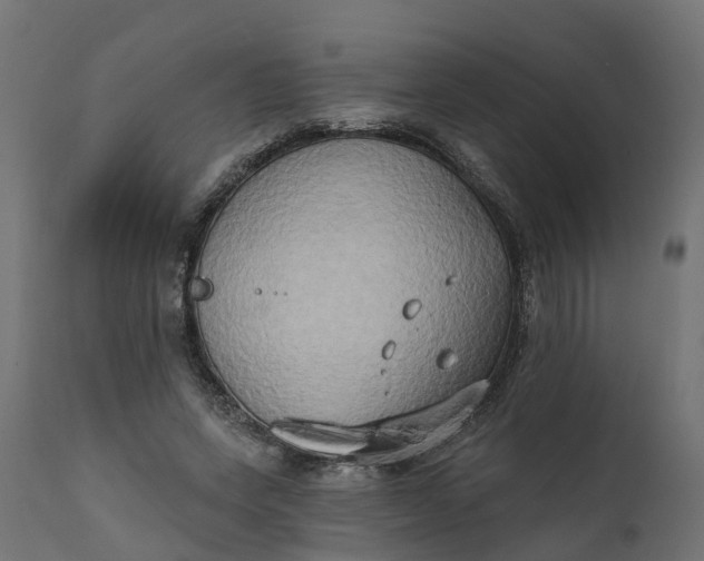X0000111520543200907281341