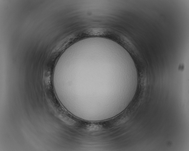 X0000111520549200907281341