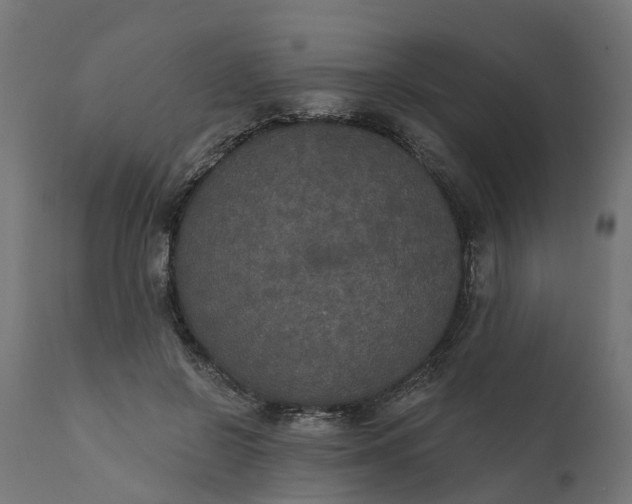 X0000111520550200907281341