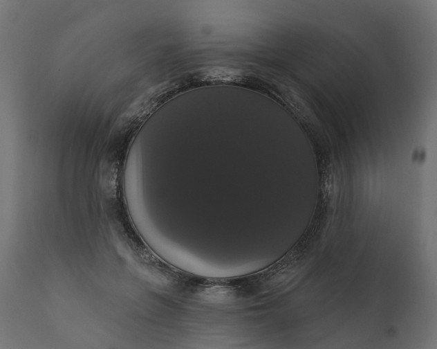 X0000111520551200907281341