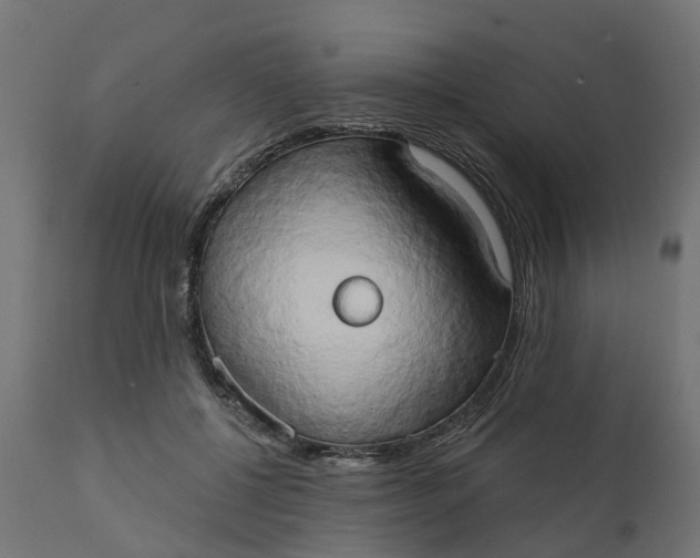X0000111520552200907281341
