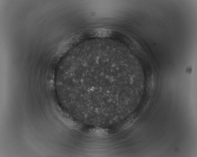 X0000111520553200907281341