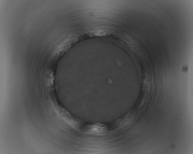 X0000111520555200907281341