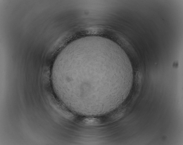 X0000111520557200907281341