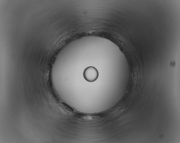 X0000111520558200907281341