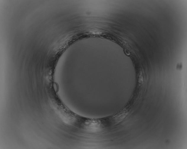 X0000111520559200907281341