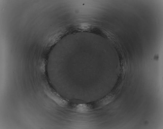 X0000111520562200907281341