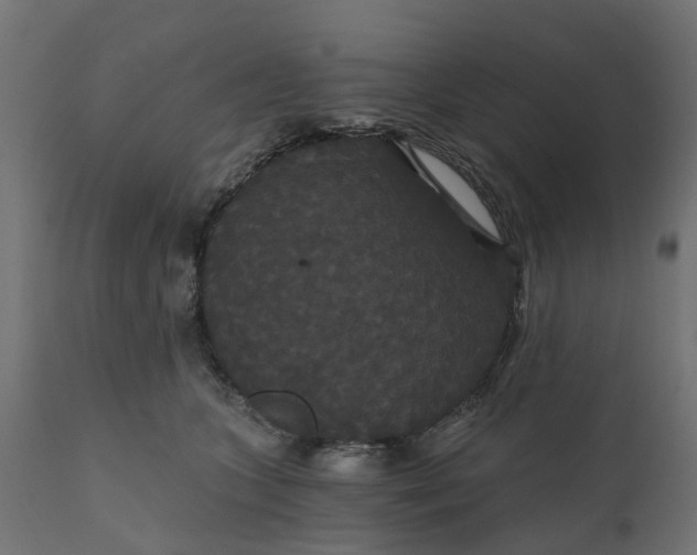 X0000111520563200907281341