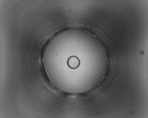 X0000111520564200907281341