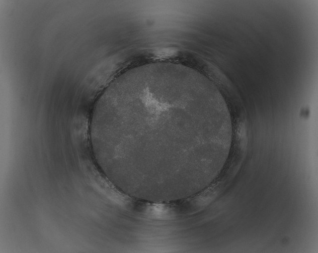 X0000111520565200907281341