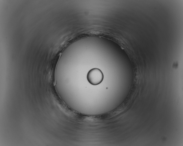 X0000111520568200907281341