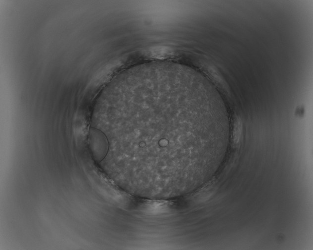 X0000111520569200907281341