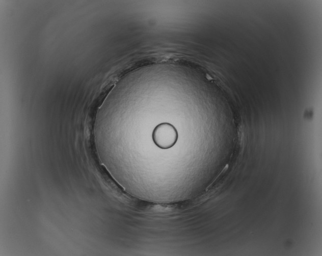 X0000111520570200907281341