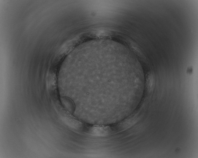 X0000111520571200907281341