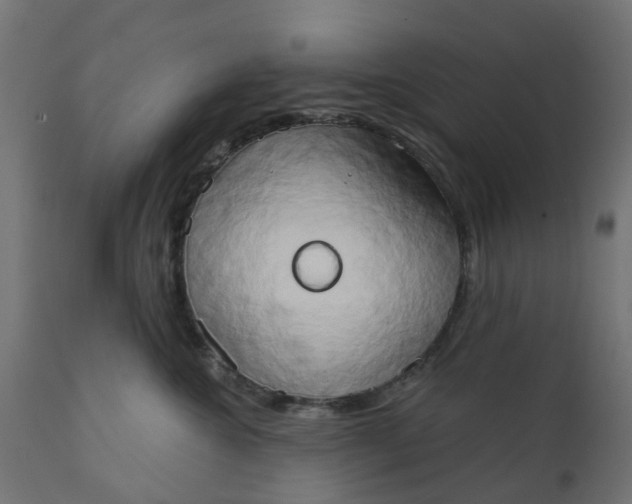 X0000111520572200907281341