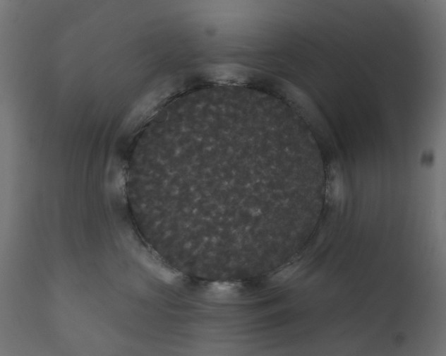 X0000111520573200907281341