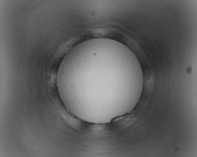 X0000111520574200907281341