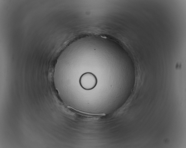 X0000111520576200907281341