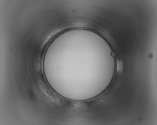 X0000111520579200907281341