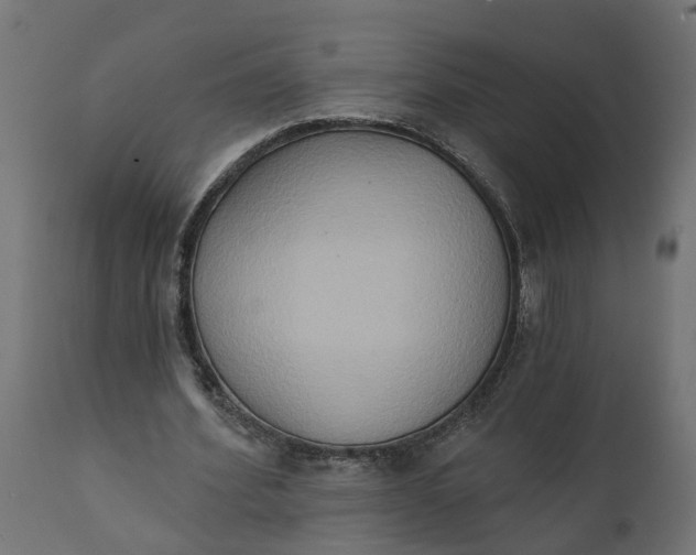 X0000111520580200907281341